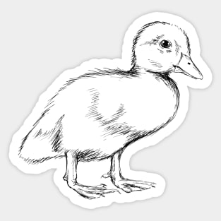 Cute Duckling Illustration Sticker